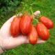 Сорт томата Грушка Полосатая