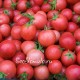Сорт томата Корейский стелющийся