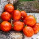 Сорт томата Schimmeig CreG (Полосатый камень, Шаймет Крег) США