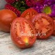 Редкий опушенный сорт томата Шахеризада