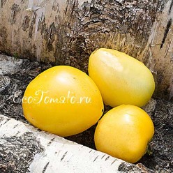 Dwarf Lemon Ice (Дварф Лемон айс / Лимонный лед)