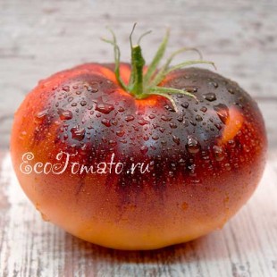 Сорт томата Afternoon delaght (Послеобеденный восторг), США