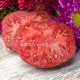 Сорт томата Amethyst Jewel (Аметистовая драгоценность), США