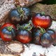 Сорт томата Black Beauty (Черная Красота), США