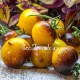 Сорт томата H-34 Rot (желтый) / Belle coeur, США