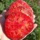 Сорт томата Lovely Lush (Прекрасный пышный), США
