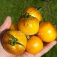 Сорт томата Primary Colors (Основные цвета), США