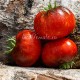 Сорт томата Red Beauty (Красная красота), США