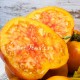 Большая Радуга, двухцветный сорт томата