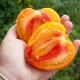Сорт томата Coeur de Zebre / Heart of Zebre Apricot (Сердце зебры), Франция