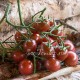 Сорт томата Black cherry (Черный черри), США