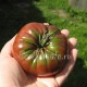Сорт томата Brandywine Black (Брендивайн Черный), США