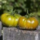 Сорт томата Cherokee Green (Чероки грин), США