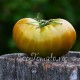 Сорт томата Cherokee Green (Чероки грин), США