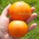Сорт томата Алтайский золотой
