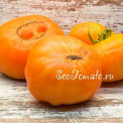 Amana Orange (Амана Оранж), США