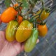 Сорт томата Оранжевые пальчики