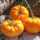 Сорт томата Sweet Ozark Orange (Сладкий оранжевый Озарк), США