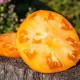 Семена томата Amana Orange, Амана оранжевый, США