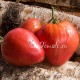 Сорт томата Бабушкино бычье сердце