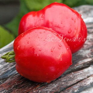 Сорт томата  (Розовое сердце Белиз)