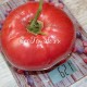 Сорт томата Brandywine (Брендивайн), США