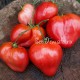 Сорт томата Донские (сердцевидный)