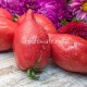 Сорт томата Корейский Длинноплодный