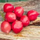 Сорт томата Мархотское гроно (Мархотская кисть), Беларусь