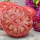 Сорт томата Подушка Розовая, Казахстан