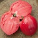 Сорт томата Розовый Кит