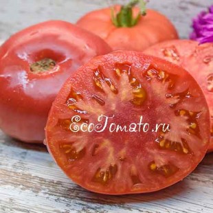 Сорт томата Самые Лучшие