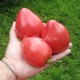 Сорт томата Serbian Oxheart (Сербское сердце), США