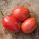 Сорт томата Сердце быка Португалия