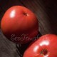 Сорт помидоры Малиновая новинка