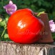 Сорт томата Белорусское сердце