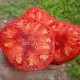 Сорт томата Бычье сердце Выставочное