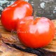 Сорт томата Big Zac Red (Большой Зак красный), США