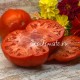 Сорт томата Боровые