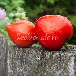 German Red Strawberry (Клубника немецкая, красная)