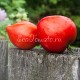 Сорт томата German Red Strawberry (Клубника немецкая, красная)