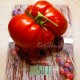 Сорт томата Great Divide (Перевал в скалистых горах), США