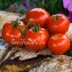 Сорт томата Hell frucht (Хель фрухт), Германия