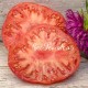 Сорт томата Хлебосольные
