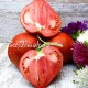 Сорт томата Inima Rosie Tanti Ivanca (Красные сердца Танти Иванка), Румыния