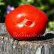 Красный гигант, крупноплодный сорт томата