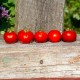 Сорт томата Large Red Cherry (Большой красный черри), США