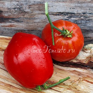 Сорт томата Лаура красная