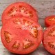 Сорт томата Минусинский урожайный