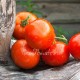 Сорт томата Минусинский урожайный
